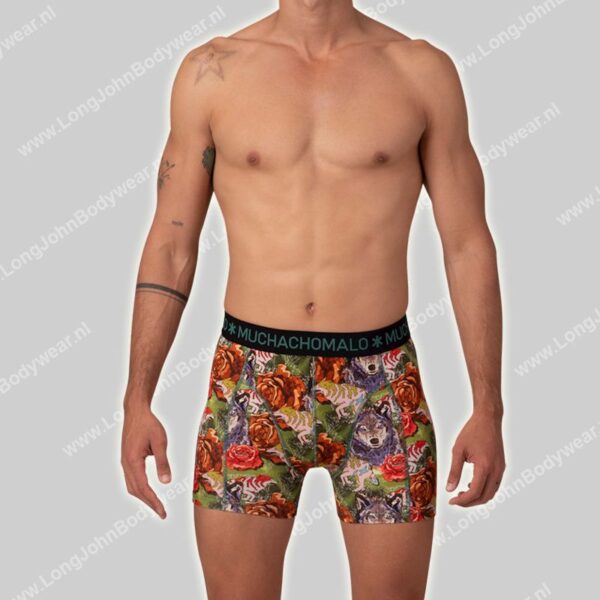 MuchachoMalo Golden Special 12-Pack Shorts