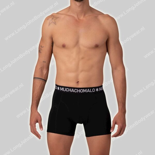 MuchachoMalo Golden Special 12-Pack Shorts