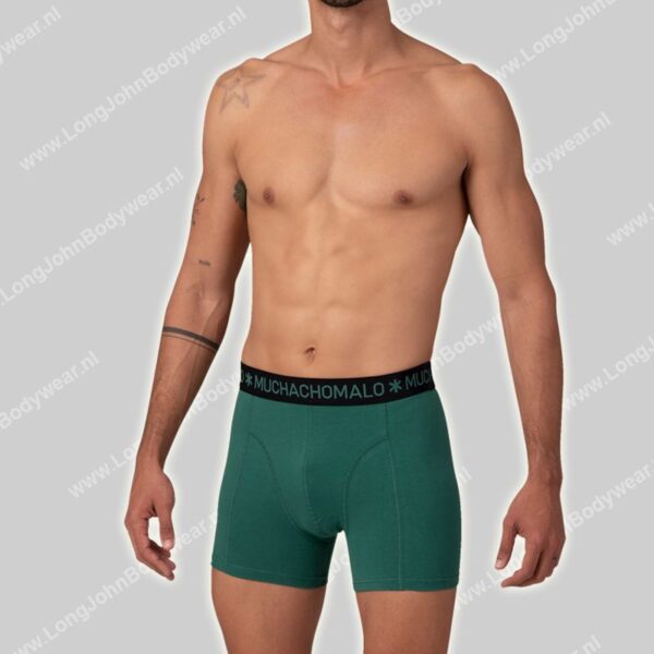 MuchachoMalo Golden Special 12-Pack Shorts