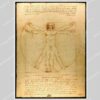 Kunstsokken Vitruvian Man