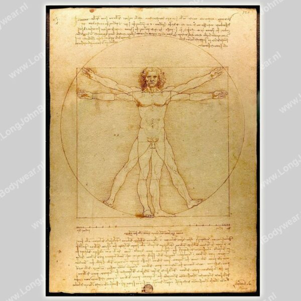 Kunstsokken Vitruvian Man