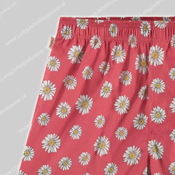 Pockies Short Red Flowers