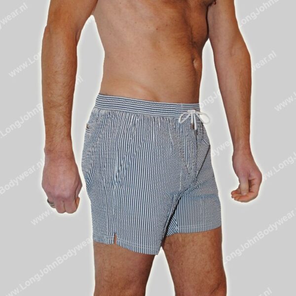 Hugo Boss Swim Short Velvetfish