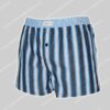 Tommy Hilfiger Woven Boxer-0