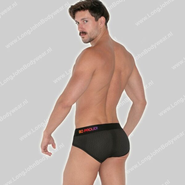 Code 22 Pride Mesh Brief