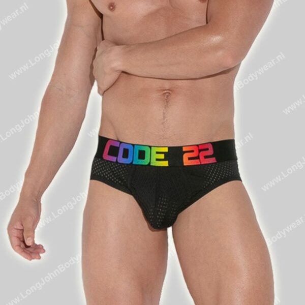 Code 22 Pride Mesh Brief