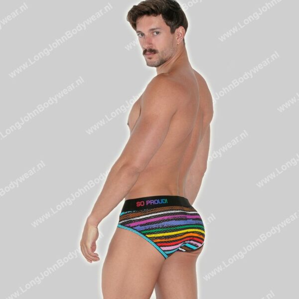 Code 22 Pride Mesh Brief