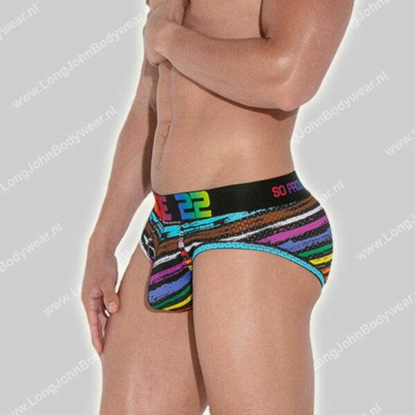 Code 22 Pride Mesh Brief