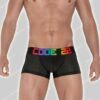 Code 22 Pride Mesh Trunk
