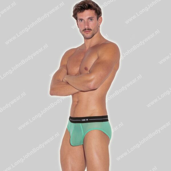 Code 22 Sheer Mesh Brief