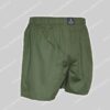 Polo Ralph Lauren Woven Boxer
