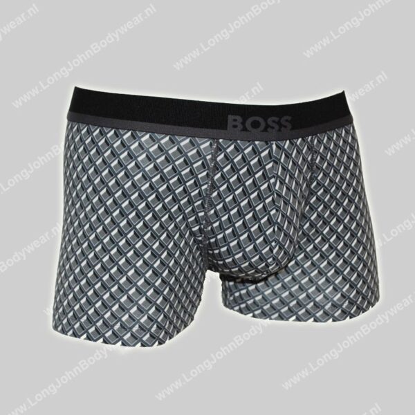 Hugo Boss Trunk 365 print