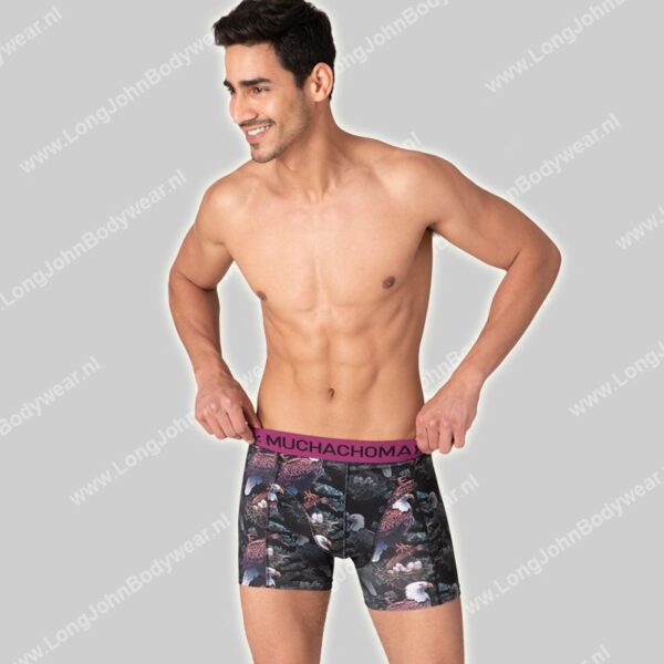 MuchachoMalo Golden Special 12-Pack Shorts