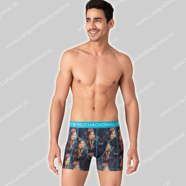 MuchachoMalo Golden Special 12-Pack Shorts