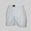 Polo Ralph Lauren Woven Boxer-0