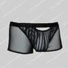 WOH Trunk Personal Allure