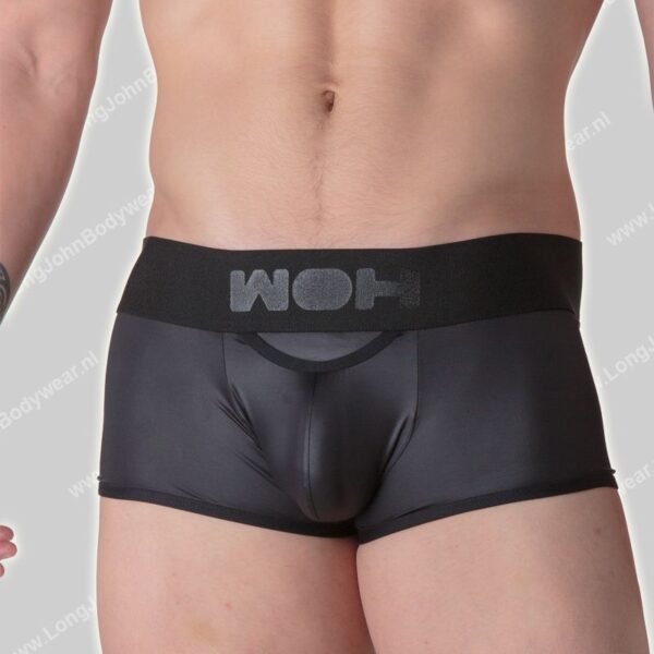 WOH Micro Trunk-Night Universe