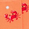 Alfredo Gonzales Sokken Sea Critters