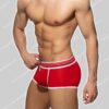 Addicted Double Trouble Trunk