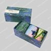 Kunstsokken Monet 3-pack GiftBox
