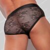 Code 22 Sheer Lace Brief