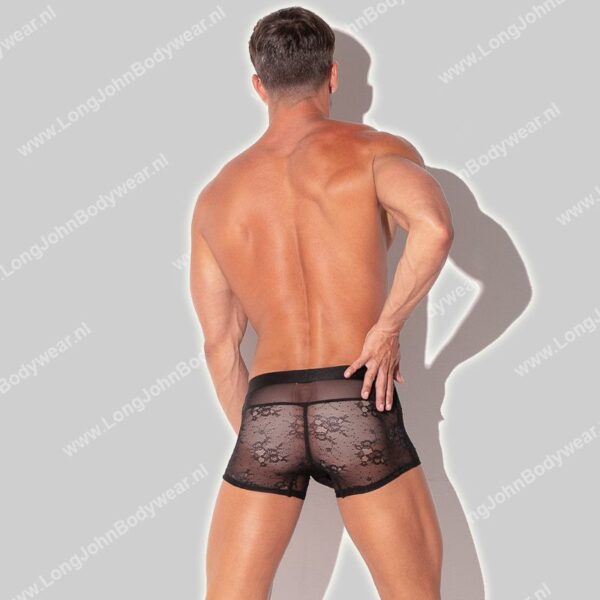 Code 22 Sheer Lace Trunk