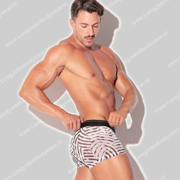 Code 22 Savanna Trunk