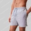 Calvin Klein Swim Short Seersucker