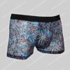 Hom Temptation Boxer Brief Biscayne
