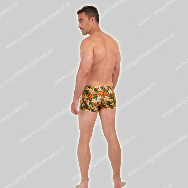 Hom Swim Shorts Etna