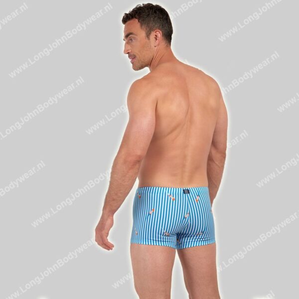 Hom Swim Shorts Viareggio