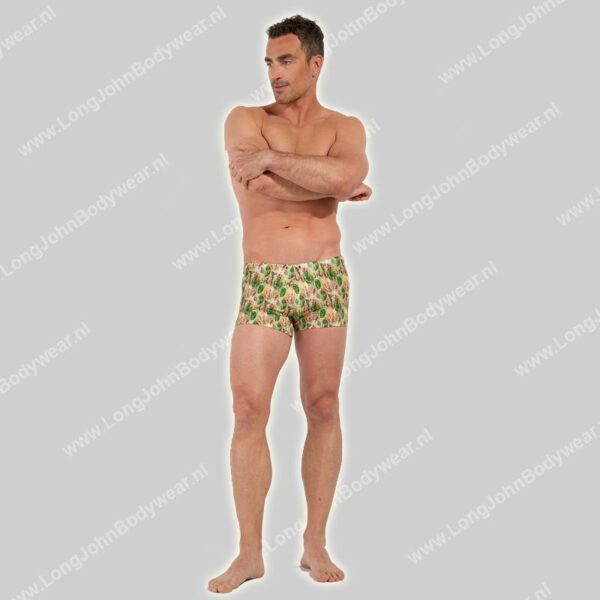 Hom Swim Shorts Taormina