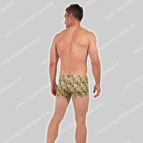 Hom Swim Shorts Taormina