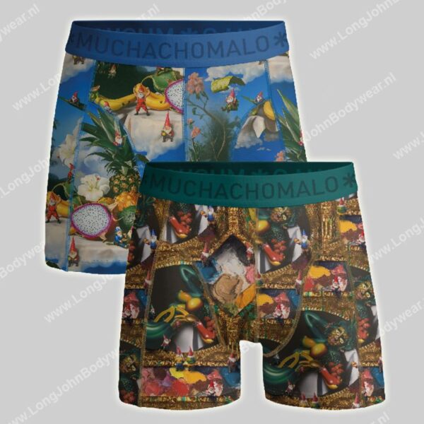 MuchachoMalo 2-pack Boxer Shorts Fruit Life-0