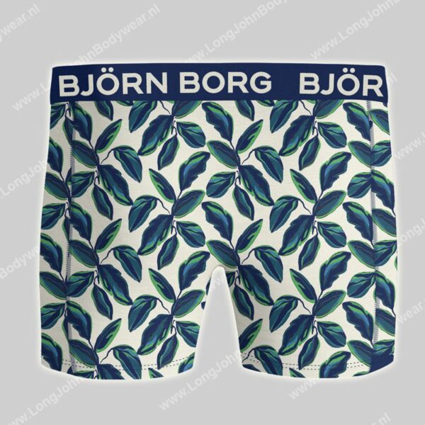 Bjorn Borg Bamboo Cotton Blend 2-pack Short