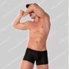 Code 22 Trunk Zebra-0