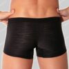 Code 22 Trunk Zebra