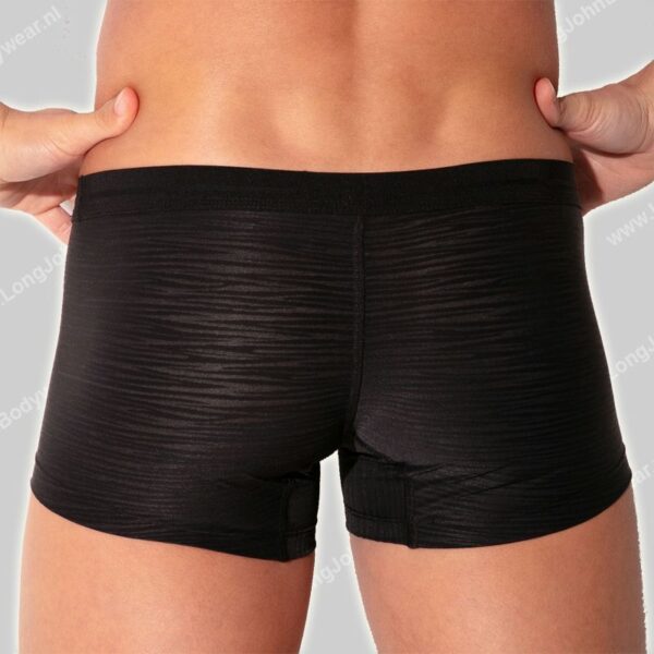 Code 22 Trunk Zebra