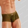 WOH Trunk Personal Allure