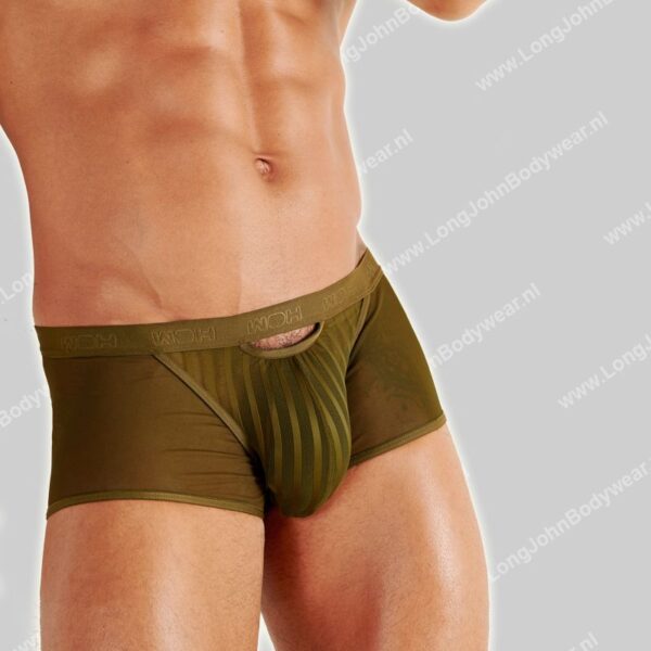 WOH Trunk Personal Allure