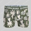 Bjorn Borg Bamboo Cotton Blend 2-pack Short