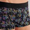 Hom Temptation Trunk Richard