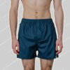 Pockies Boxershort Striped