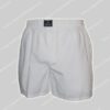 Polo Ralph Lauren Woven Boxer