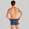Hom Trunk Clash