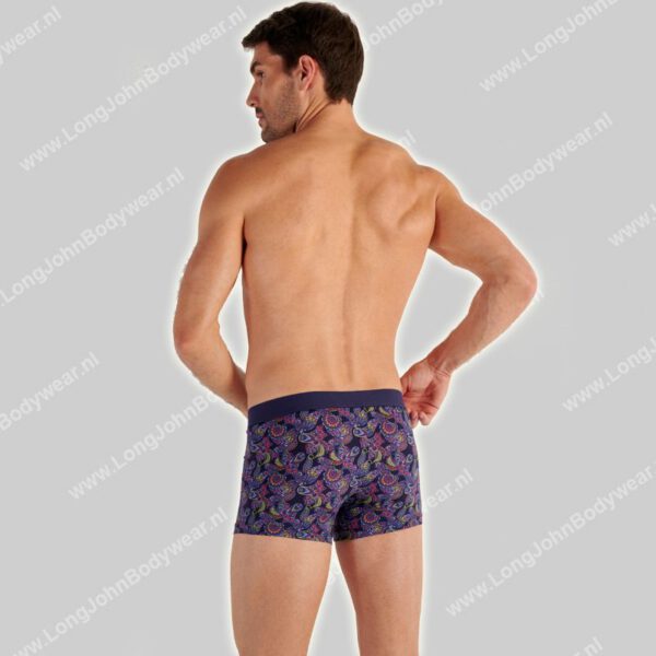 Hom Boxer Brief Ringo