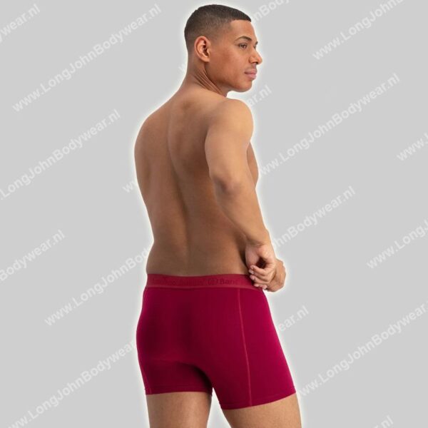 Bamboo Basics Boxershorts 3-pack Rico