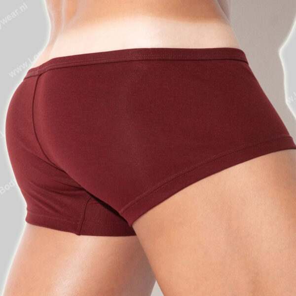 Code 22 Pure Sunga
